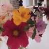 aprilsbest